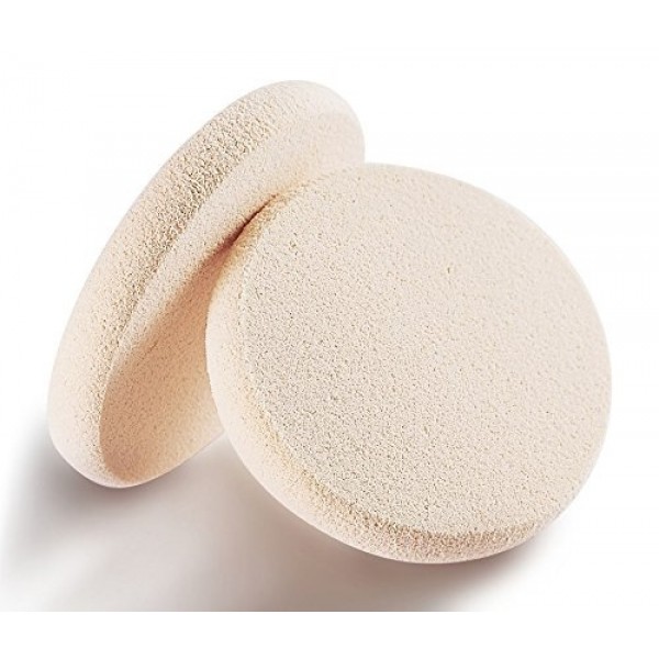 YANXI 2pcs Round Makeup Sponges with 1 Travel Case, Blender Sponge Replacement for Cosmetic Flawless Foundation, Sensitive and All Skin Types